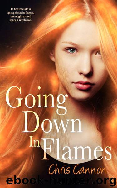 Going Down in Flames (Entangled Teen) by Cannon Chris