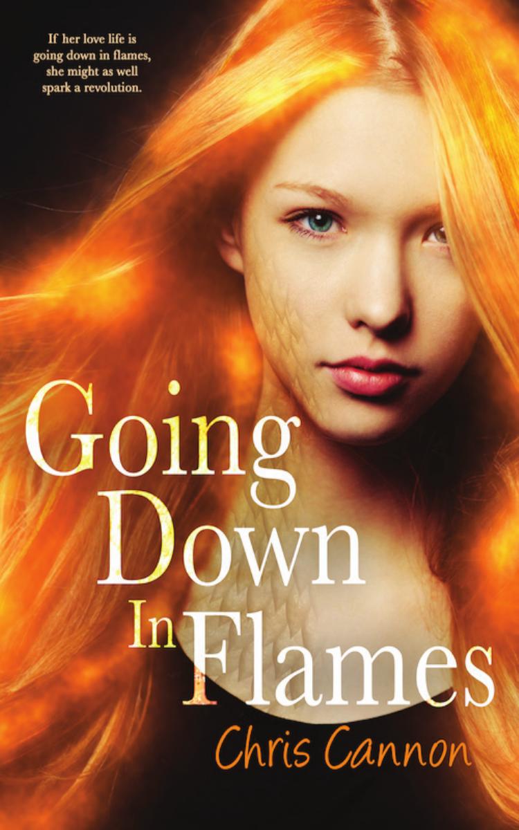 Going Down in Flames by Chris Cannon