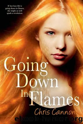 Going Down in Flames: Going Down in Flames 01 by Chris Cannon