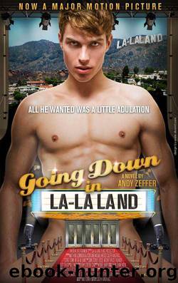 Going Down in La-La Land by Zeffer Andy