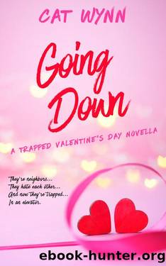 Going Down: A Trapped Valentine's Day Novella by Cat Wynn