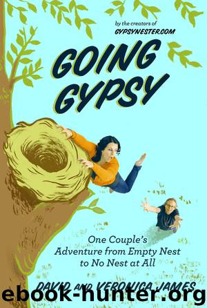 Going Gypsy by David James