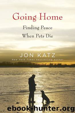 Going Home by Jon Katz