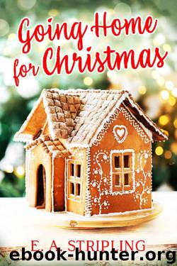 Going Home for Christmas by E A Stripling