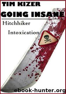 Going Insane--A Psycho Thriller by Tim Kizer
