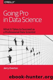 Going Pro in Data Science by Jerry Overton