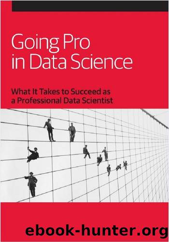 Going Pro in Data Science by MOUSAIF YASSINE