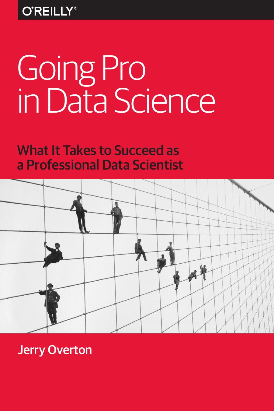 Going Pro in Data Science: What It Takes to Succeed as a Professional Data Scientist by Jerry Overton