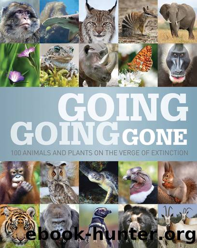 Going, Going, Gone by Bloomsbury Publishing