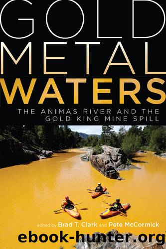 Gold Metal Waters by Unknown
