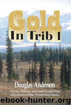 Gold in Trib 1 by Douglas Anderson
