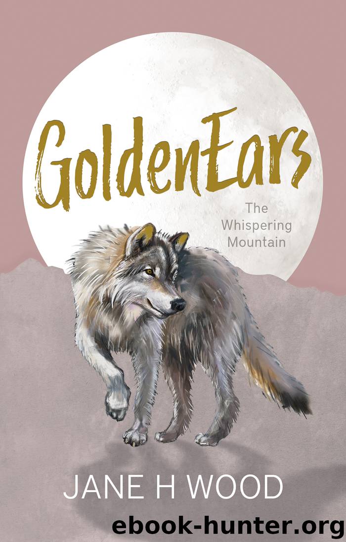 GoldenEars by Jane H Wood