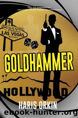 Goldhammer (A James Flynn Escapade Book 3) by Haris Orkin