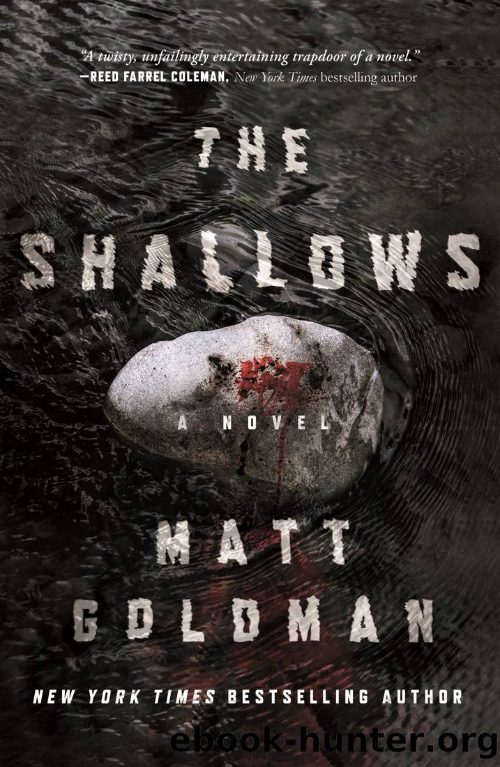 Goldman, Matt - The Shallows: A Nils Shapiro Novel by Goldman Matt