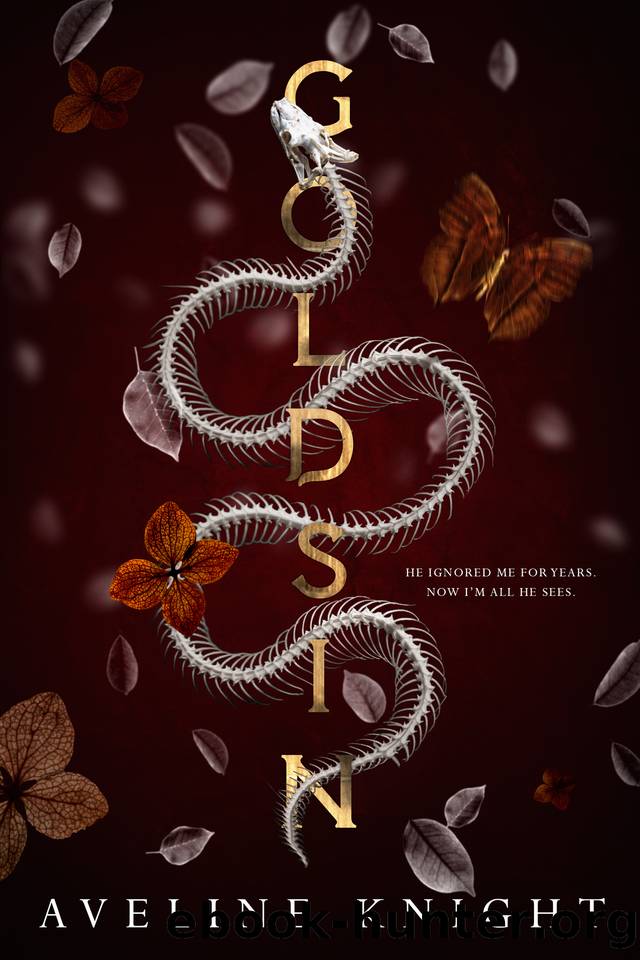 Goldsin (The Chrysophilist Trilogy Book 1) by Aveline Knight