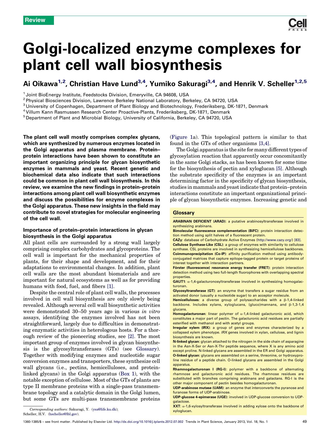 Golgi-localized enzyme complexes for plant cell wall biosynthesis by Ai Oikawa