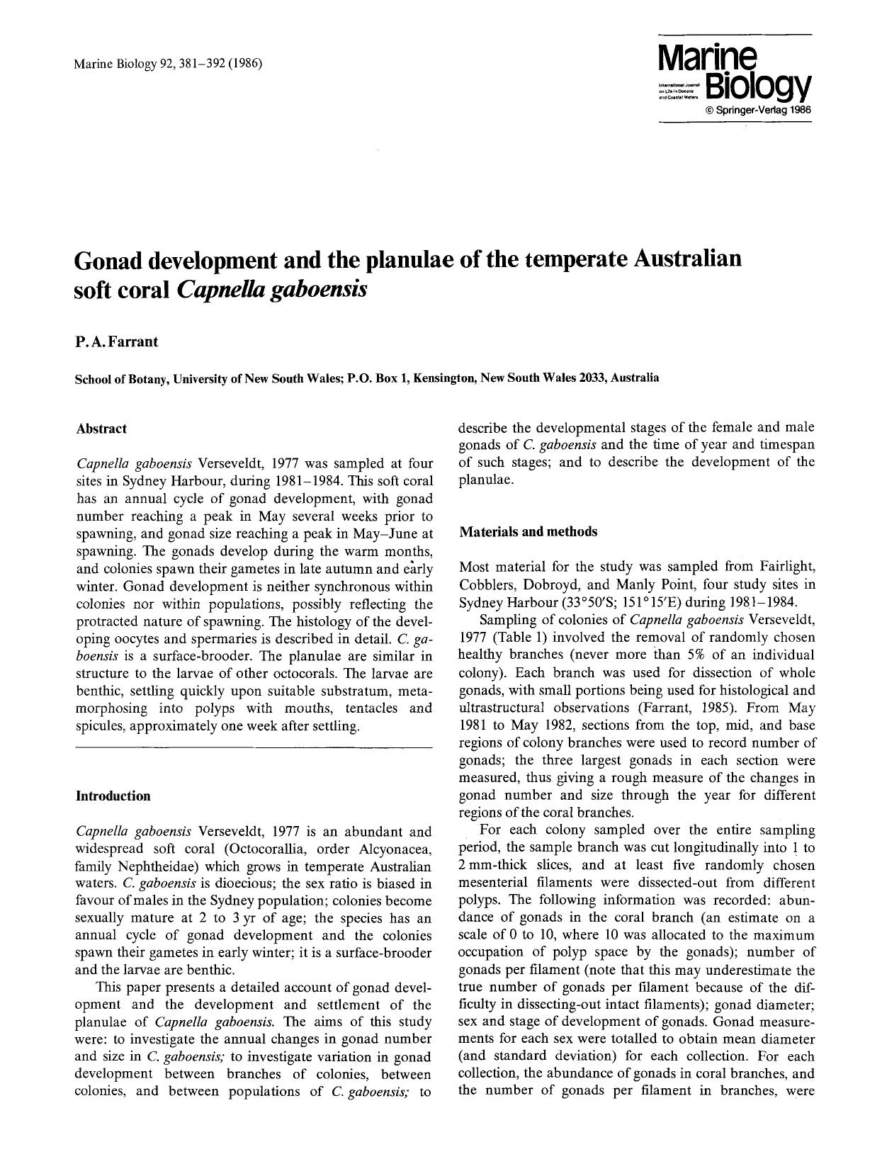 Gonad development and the planulae of the temperate Australian soft coral <Emphasis Type="Italic">Capnella gaboensis<Emphasis> by Unknown