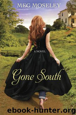 Gone South by Meg Moseley