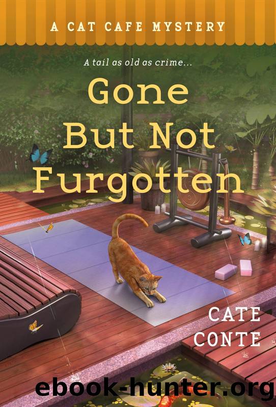 Gone but Not Furgotten--A Cat Cafe Mystery by Cate Conte
