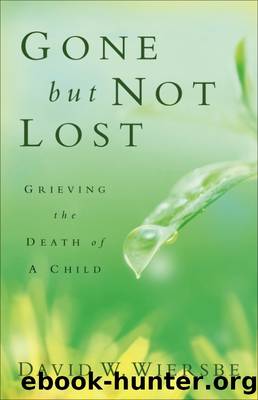 Gone but Not Lost by David W. Wiersbe