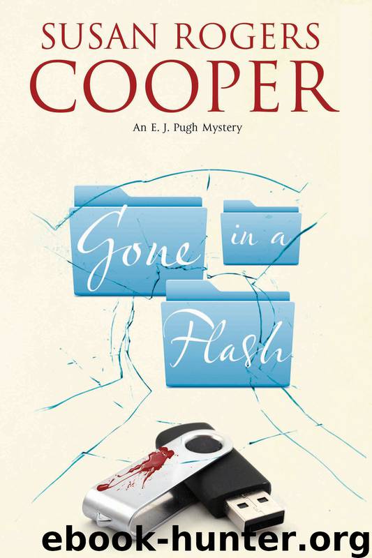 Gone in a Flash by Susan Rogers Cooper