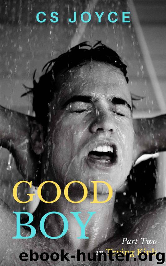 Good Boy (Trying Kink Serial Book 2) by CS Joyce