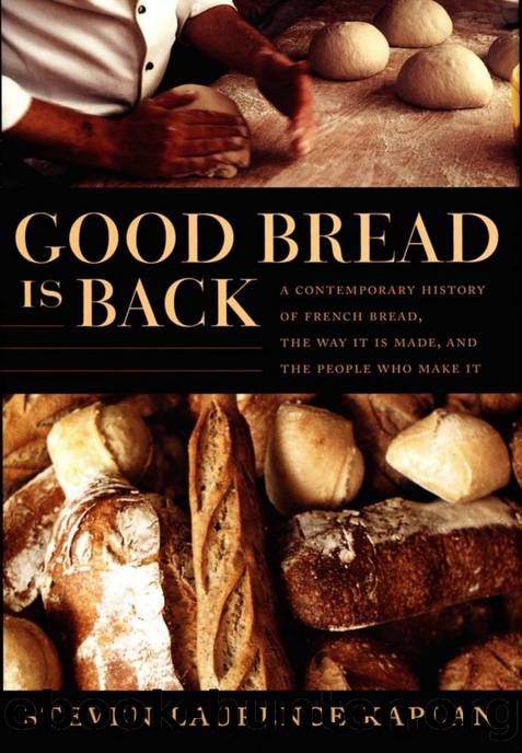 Good Bread Is Back : A Contemporary History of French Bread, the Way It Is Made, and the People Who Make It by Steven Laurence Kaplan; Catherine Porter