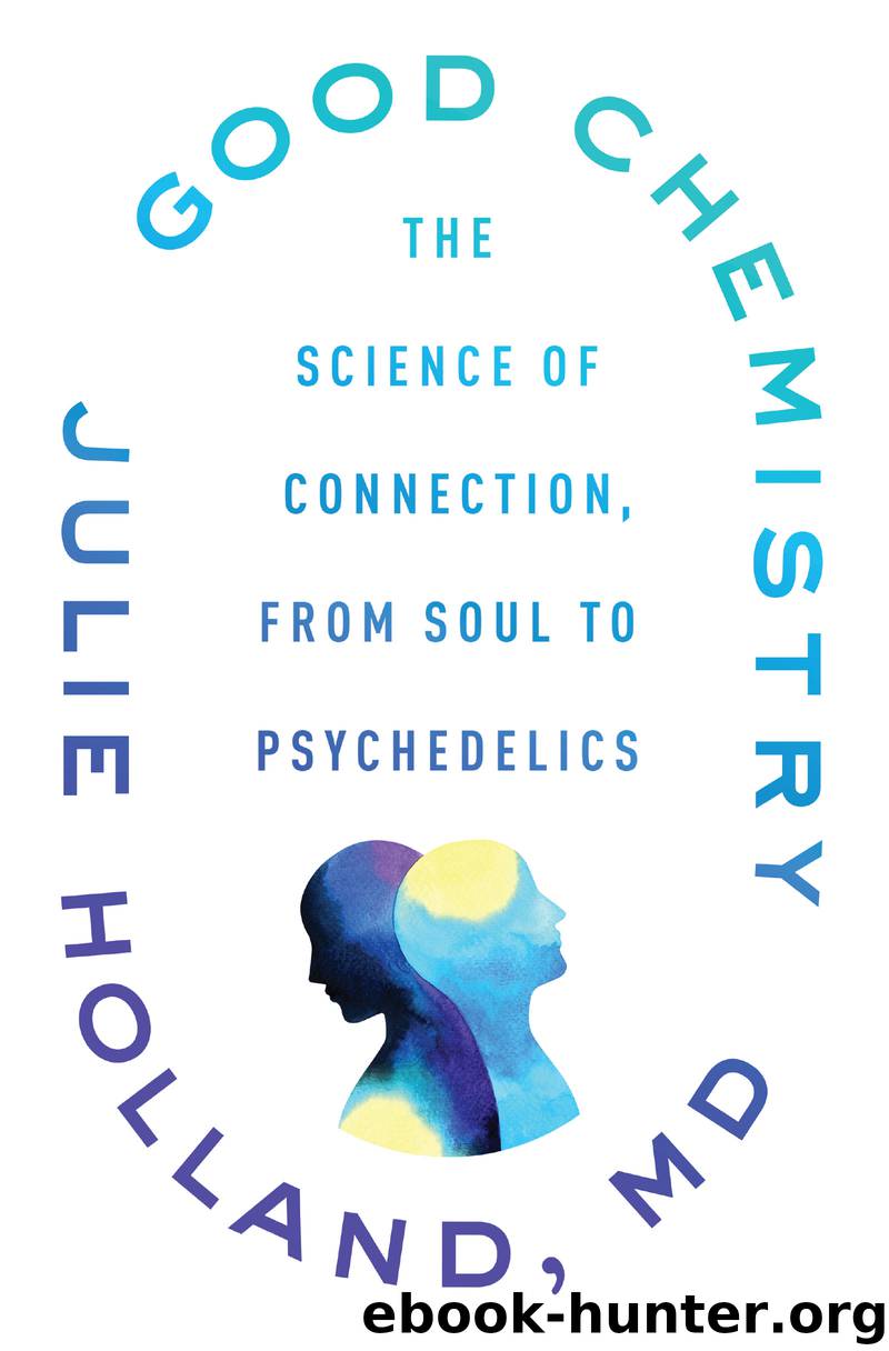 Good Chemistry by Julie Holland