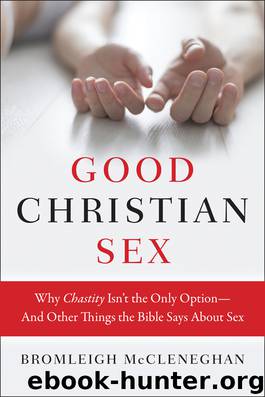 Good Christian Sex by Bromleigh McCleneghan