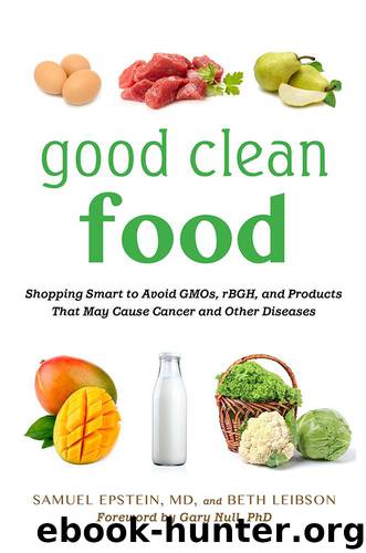 Good Clean Food by Null Gary Epstein Samuel Leibson Beth
