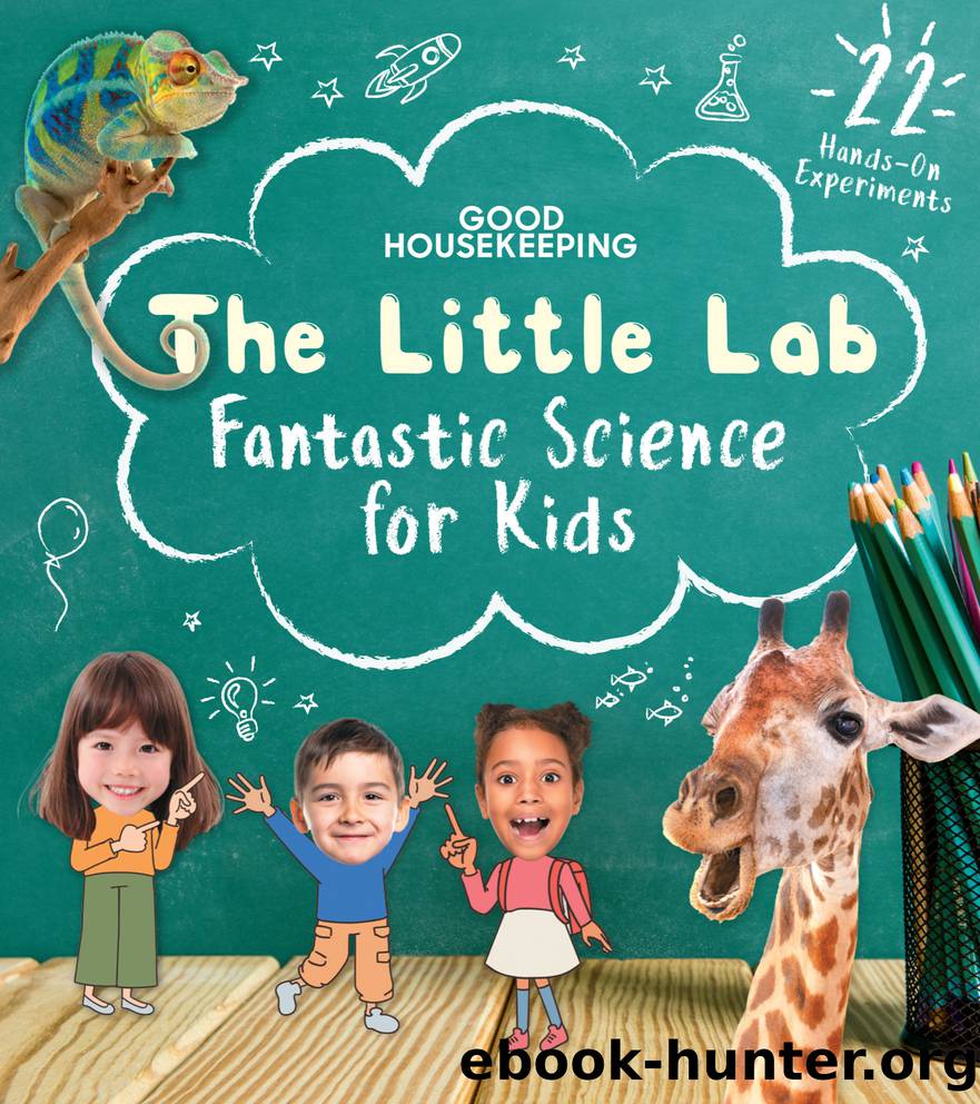 Good Housekeeping The Little Lab: Fantastic Science for Kids by Good Housekeeping & Margie Markarian