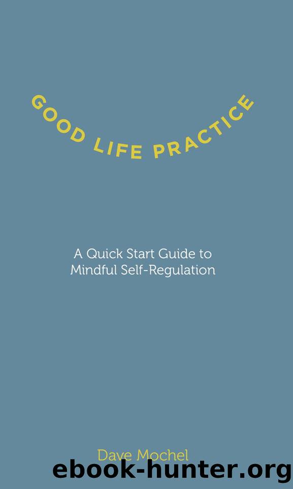 Good Life Practice: A Quick Start Guide to Mindful Self-Regulation by Dave Mochel