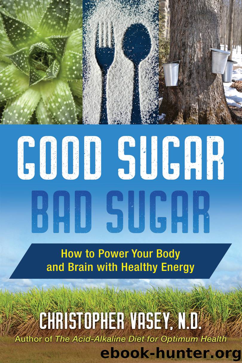 Good Sugar, Bad Sugar by Christopher Vasey