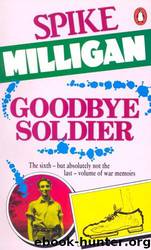 Goodbye Soldier