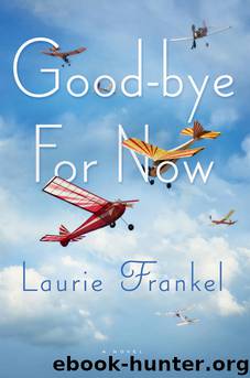 Goodbye for Now by Laurie Frankel