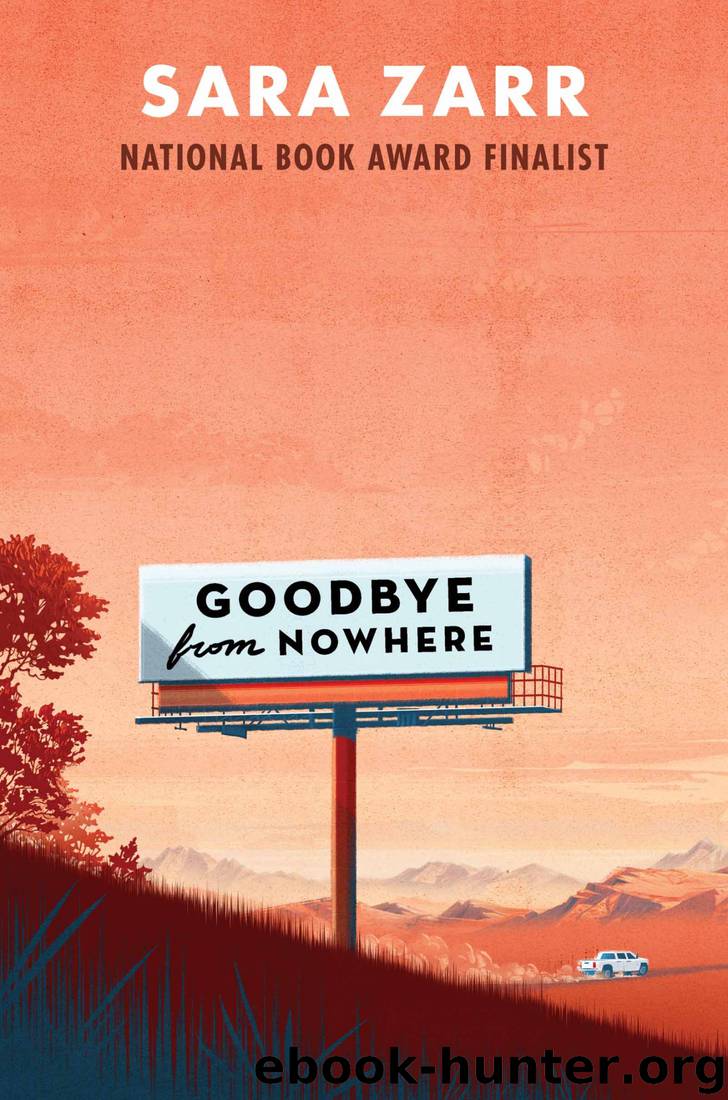 Goodbye from Nowhere by Sara Zarr