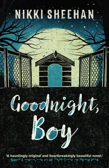 Goodnight, Boy by Nikki Sheehan