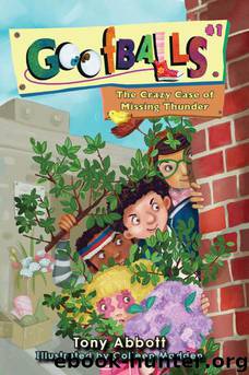 Goofballs 1: The Crazy Case of Missing Thunder by Tony Abbott