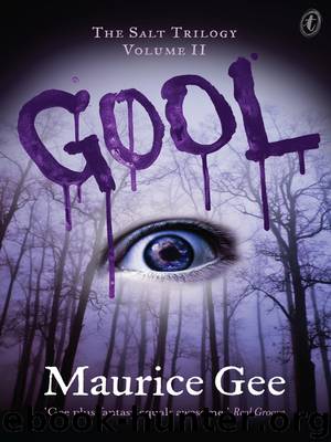 Gool by Maurice Gee