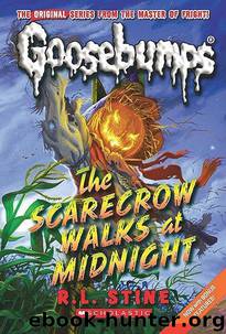 Goosebumps - 20 - The Scarecrow Walks at Midnight by R.L. Stine