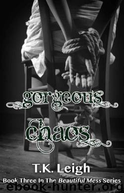 Gorgeous Chaos by T.K. Leigh
