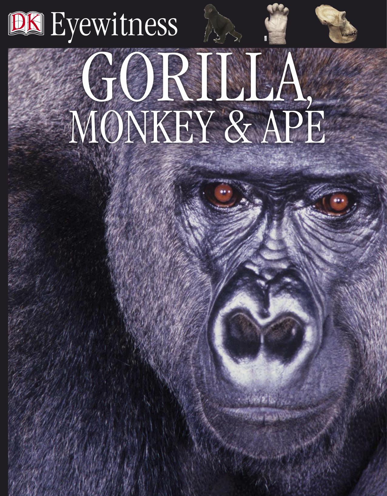 Gorilla, Monkey & Ape (DK Eyewitness Books) by Unknown