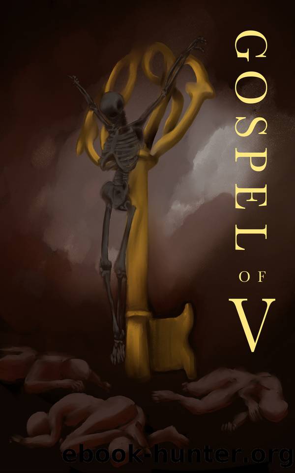 Gospel of V by Faust H. M