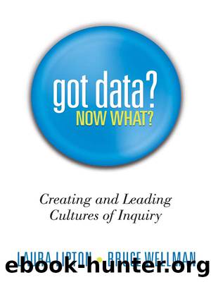 Got Data? Now What? by Lipton Laura;Wellman Bruce;