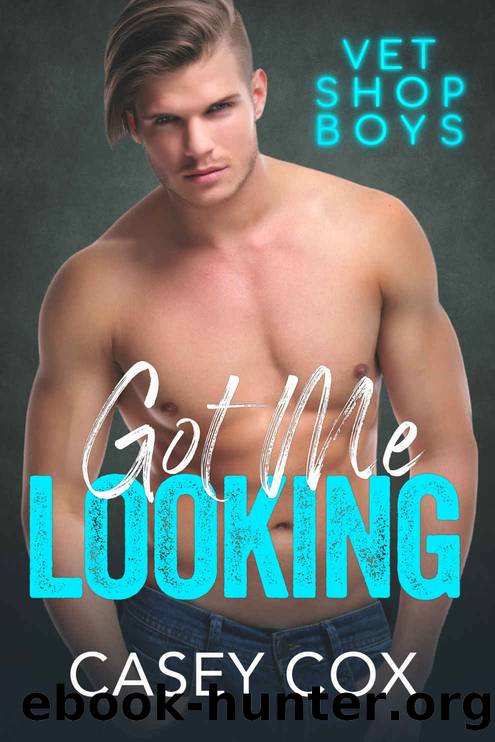 Got Me Looking by Casey Cox