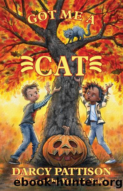 Got Me a Cat by Darcy Pattison