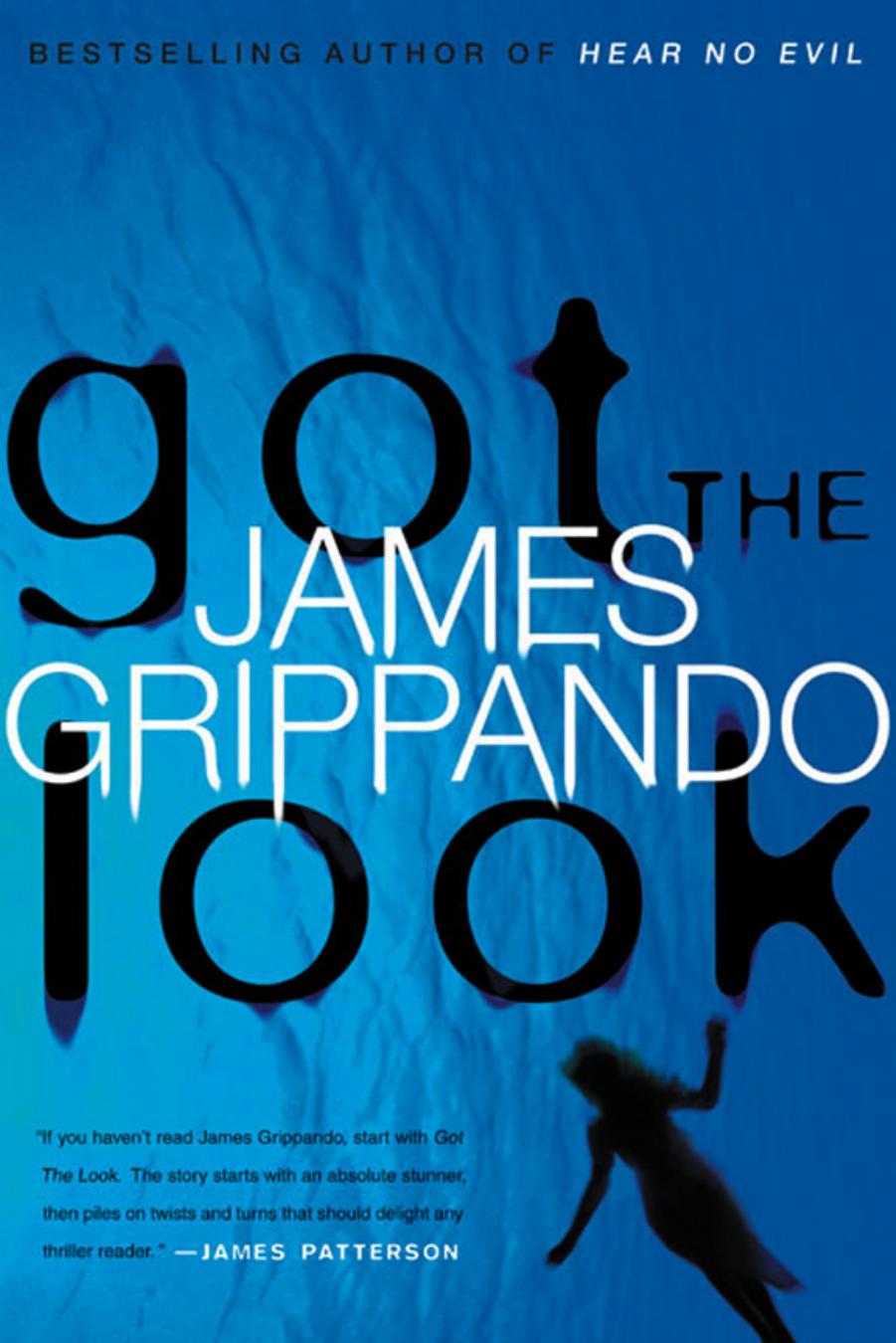 Got the Look by James Grippando