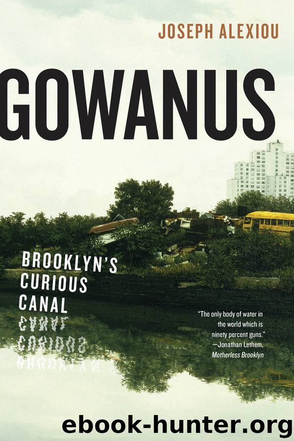 Gowanus by Joseph Alexiou