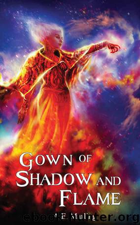 Gown of Shadow and Flame by A.E. Marling