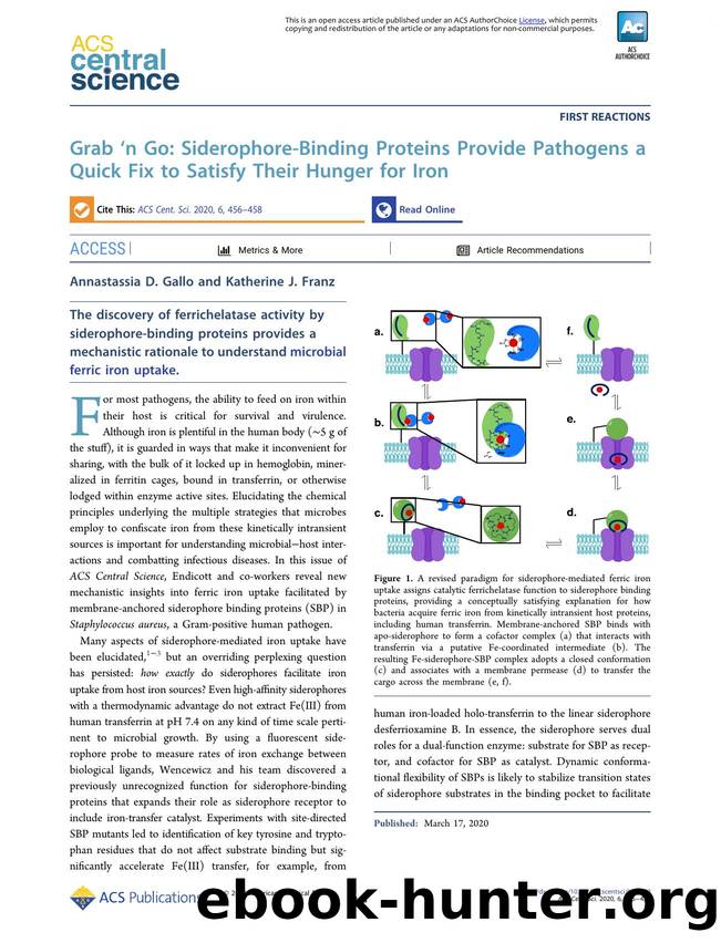 Grab ân Go: Siderophore-Binding Proteins Provide Pathogens a Quick Fix to Satisfy Their Hunger for Iron by Annastassia D. Gallo (ORCID: 0000-0001-9690-9347) & Katherine J. Franz (ORCID: 0000-0002-9015-0998)